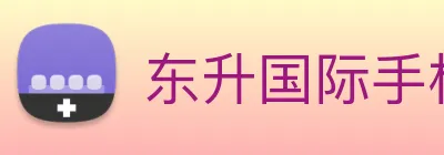 东升国际手机版下载 Logo